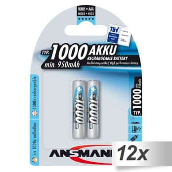 Foto: 12x2 Ansmann NiMH Akku 1000 Micro AAA 950 mAh