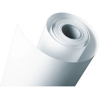 Foto: Epson Endlos-Bannerpapier 41 cm x 15 m, 105 g     S 041102