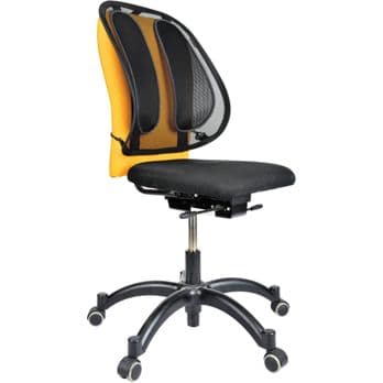 Foto: Fellowes Office Suites Netz Rückenstütze