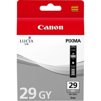 Foto: Canon PGI-29 GY grau