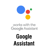 google-assistant
